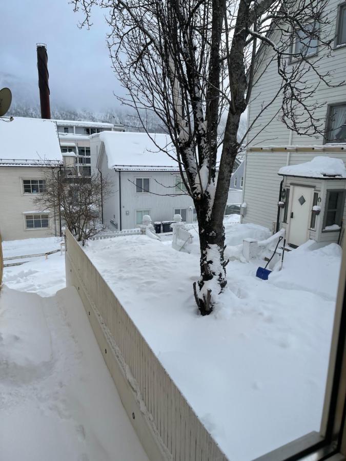 Guesthouse In Tromso Center By Dada エクステリア 写真